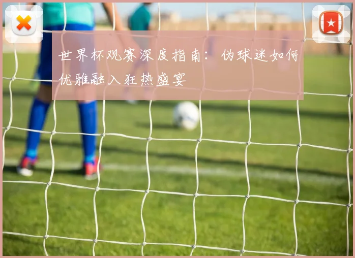 世界杯观赛深度指南：伪球迷如何优雅融入狂热盛宴