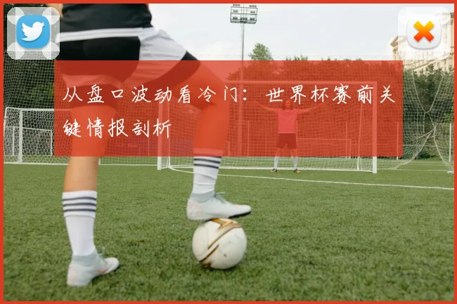 从盘口波动看冷门：世界杯赛前关键情报剖析