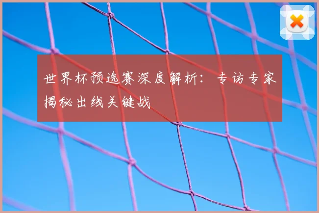 世界杯预选赛深度解析：专访专家揭秘出线关键战