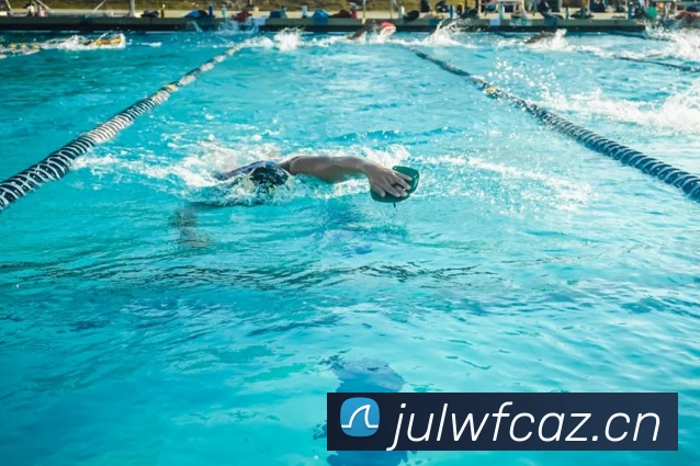 星空体育在线官网平台生态图